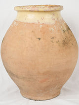 Provenance rooted terracotta olive jar