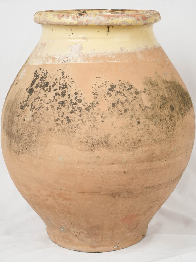 Mid-century Mediterranean terracotta jar