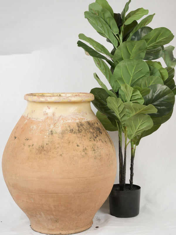 Provencal Biot style terracotta jar