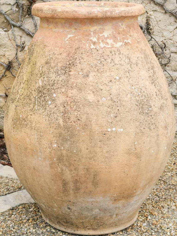 Vintage Mediterranean-style terracotta jar