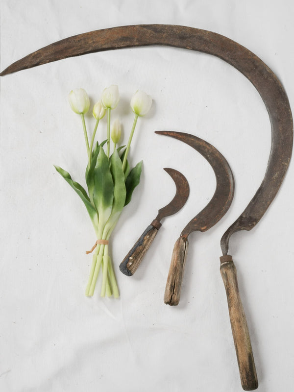 Timeworn farm sickles from Provence