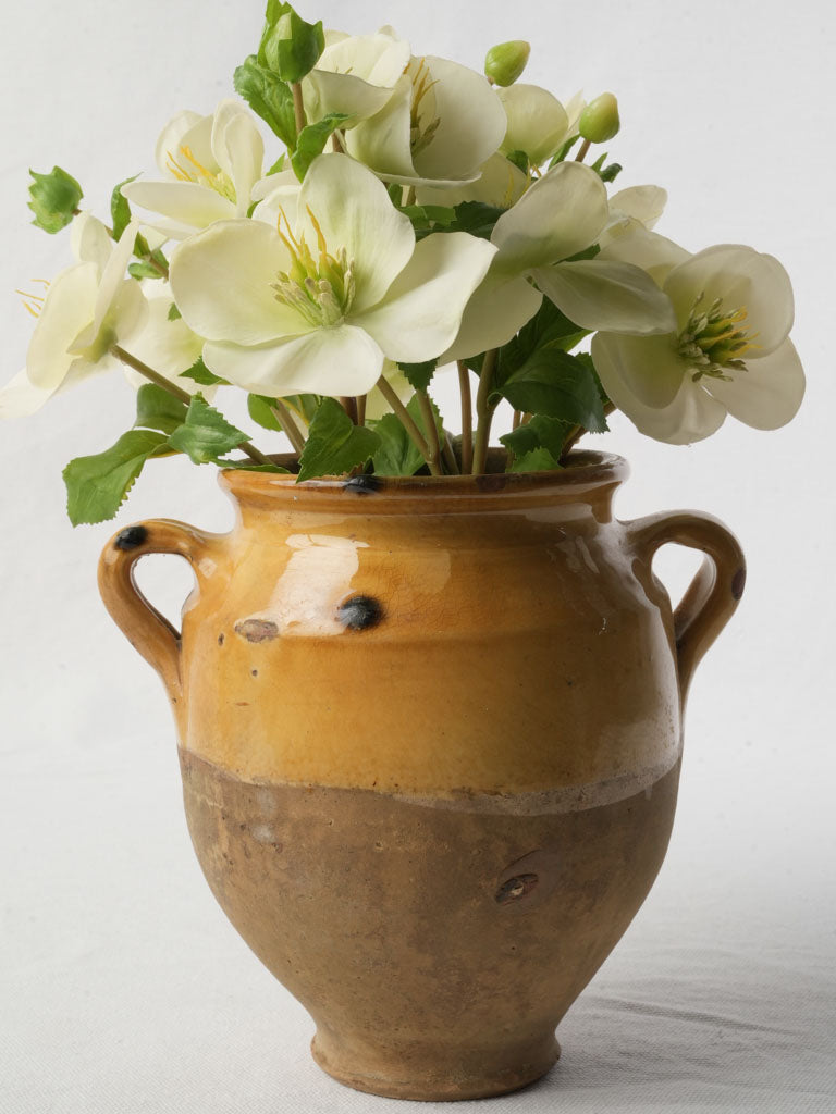 Antique French glazed kitchen pottery  