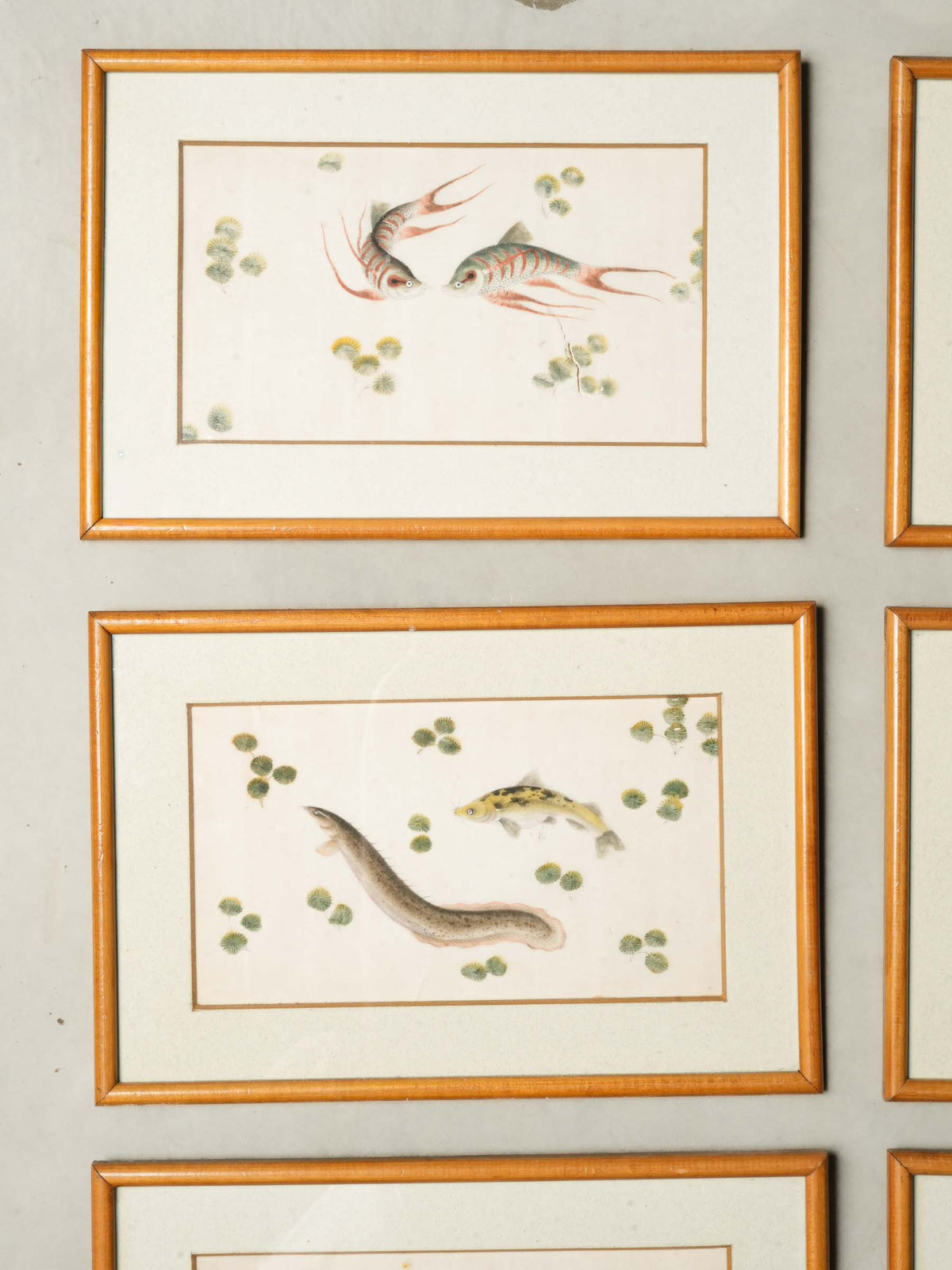 Set of 12 Late 19th-Century Delicate Fish Studies in Ink and Watercolor - 8¾" x 13"