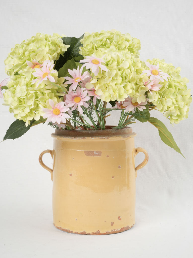 Vintage Savoyard loop-handled preserving crock