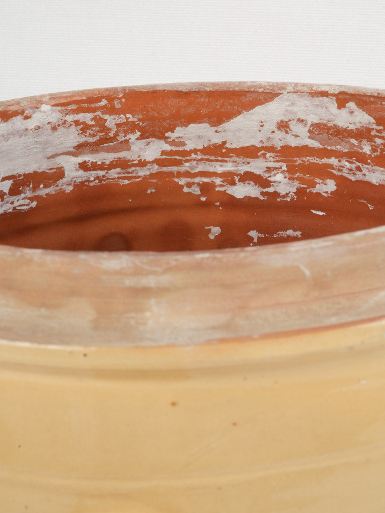 Quaint ceramic French tableware collectible