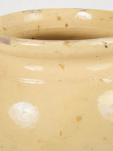 Rustic nineteenth-century French glazed pot