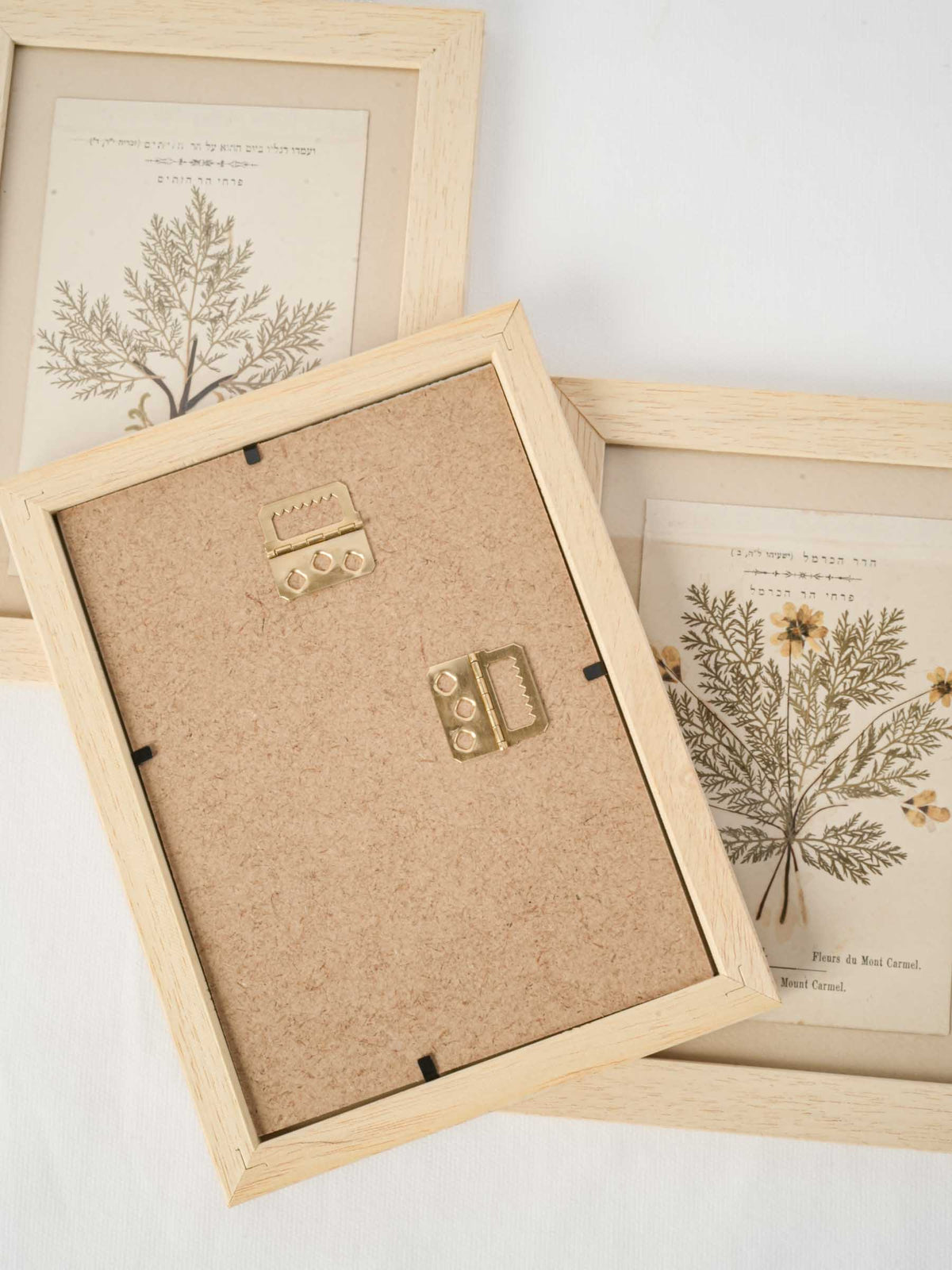 Set of Three Antique Pressed-Flower Compositions from the Holy Land - 9" x 6¾"