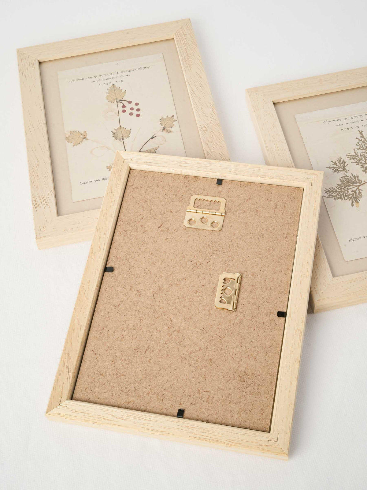 Set of Three Antique Pressed-Flower Compositions from Hebron, Siloah and the Jordan Valley - 9 x 6¾"