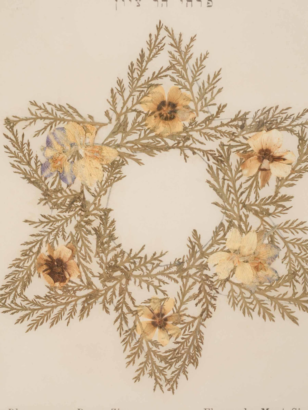 Set of Three Antique Holy Land Pressed-Flower Souvenirs – Rachel’s Tomb, Mount Gerizim and Mount Zion - 9" x 6¾"