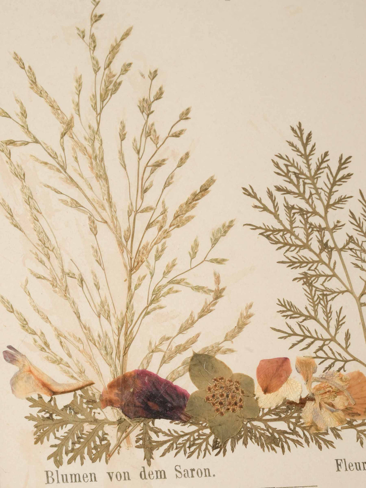Set of Three Antique Pressed-Flower Compositions - Souvenirs from the Holy Land - 9" x 6¾"