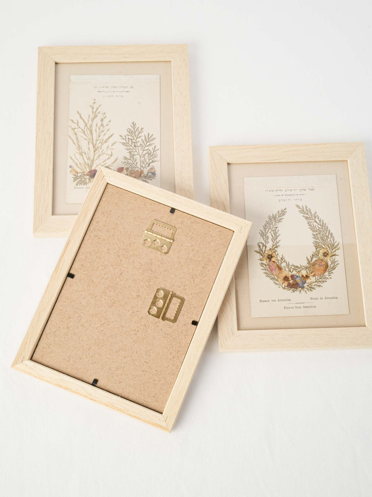 Set of Three Antique Pressed-Flower Compositions - Souvenirs from the Holy Land - 9" x 6¾"