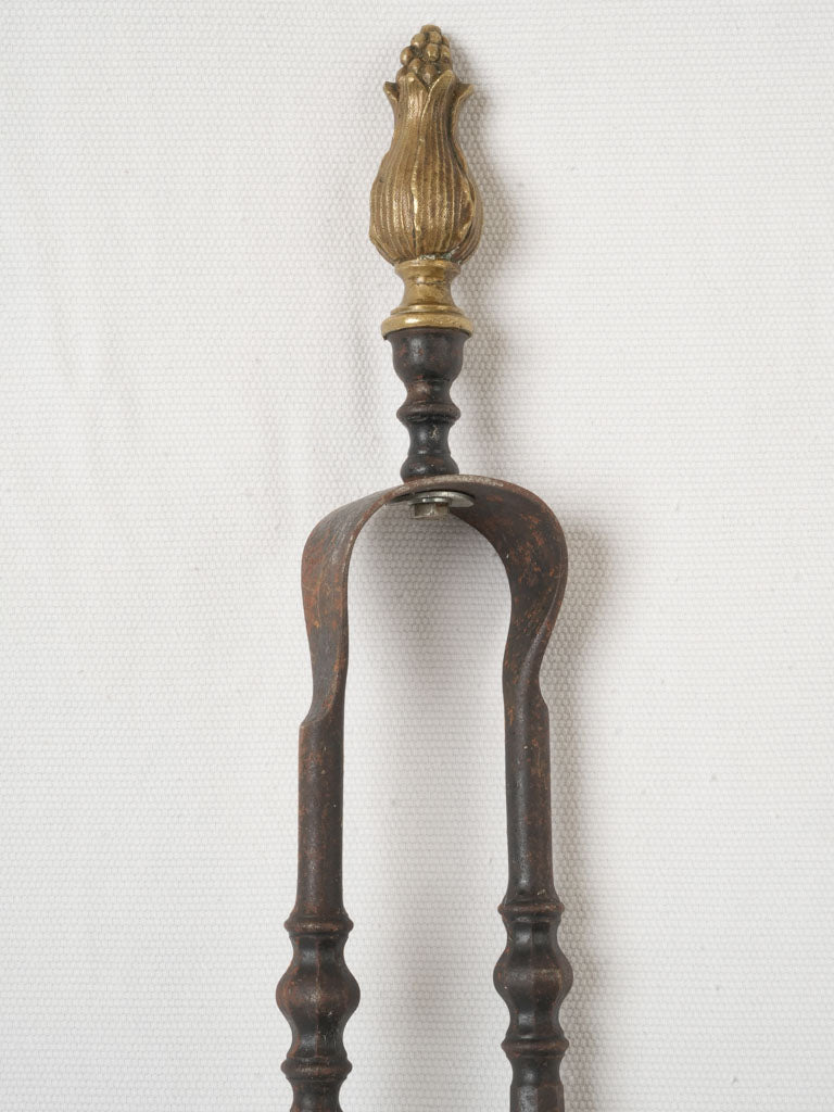 Stylish antique fireplace accessory