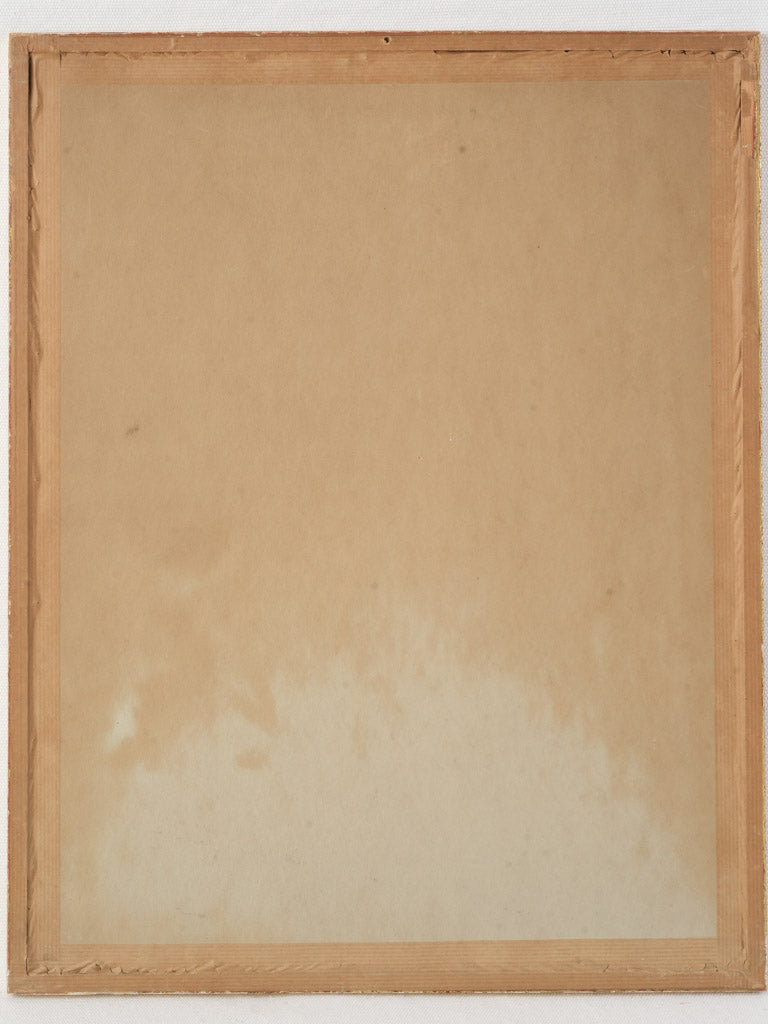 Historic natural history engraving.