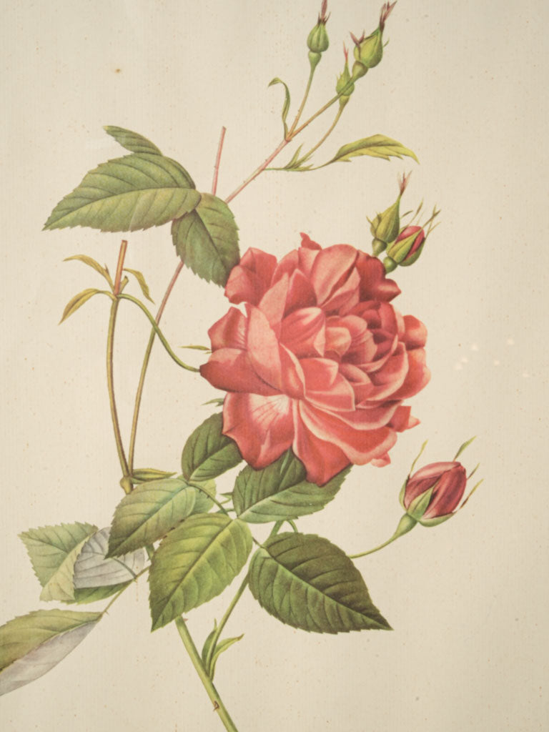 Naturalistic shaded floral piece