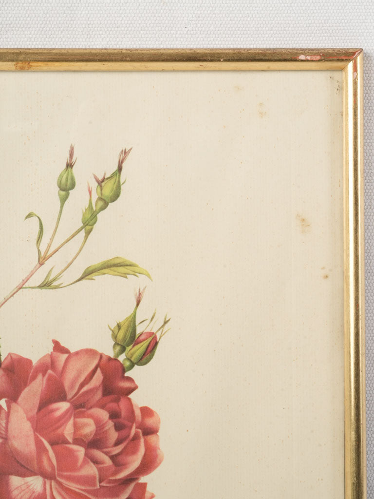 Distinctive botanical gallery decor