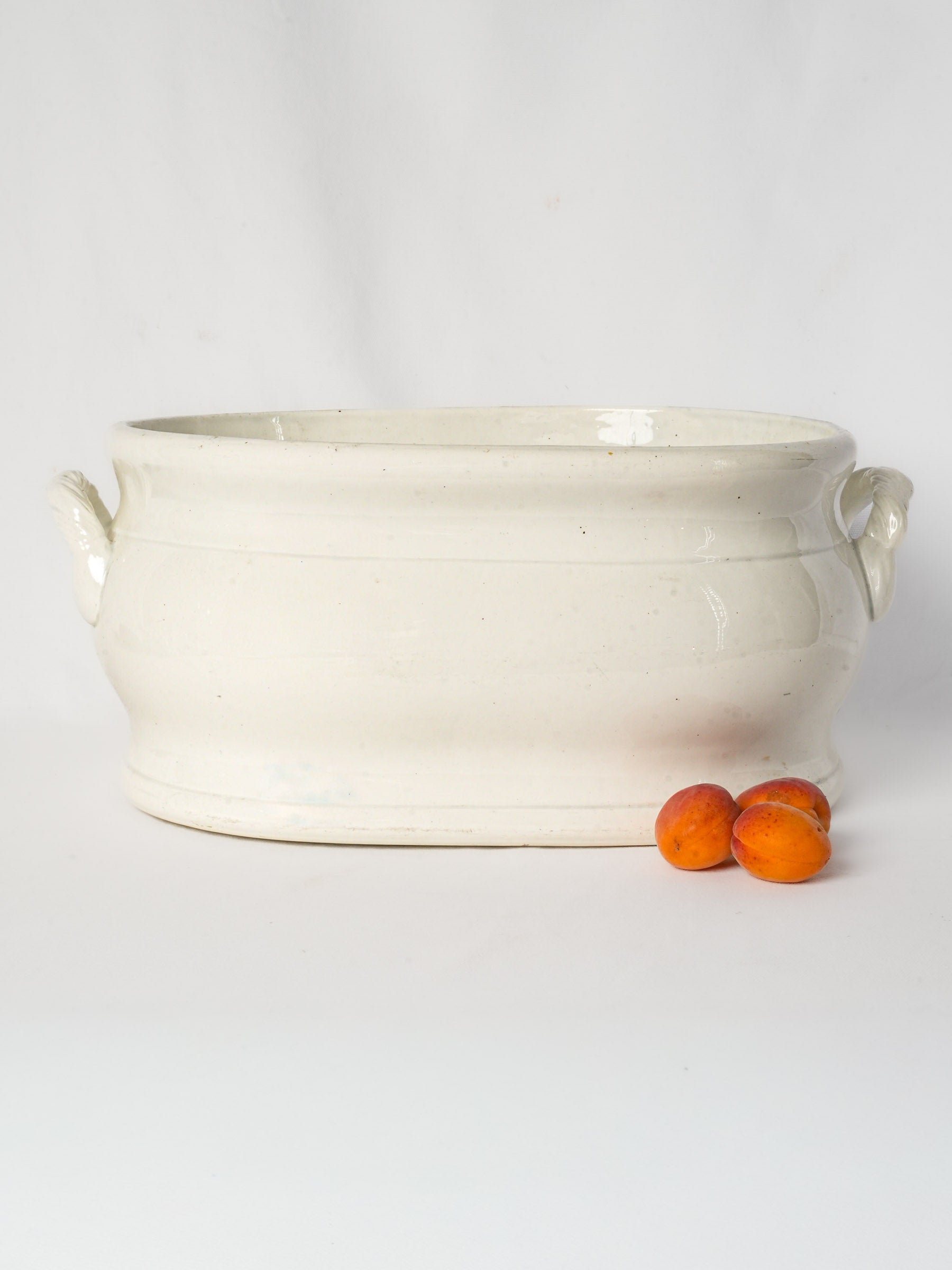 Large Oval Faience Foot Bath w/ Rope-Twist Handles by Jules Vieillard, 19th Century - 20"