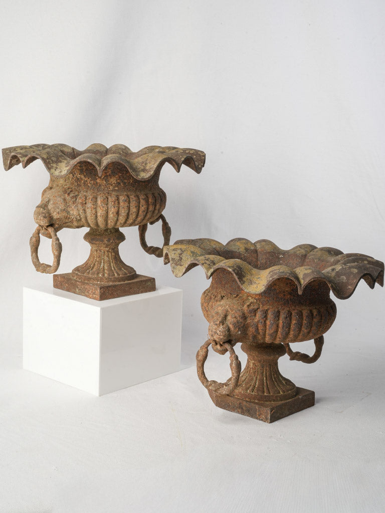Pair of 19th Century French Cast Iron Garden Urns w/ Scalloped Rims and Lion Head Handles - 10¾"