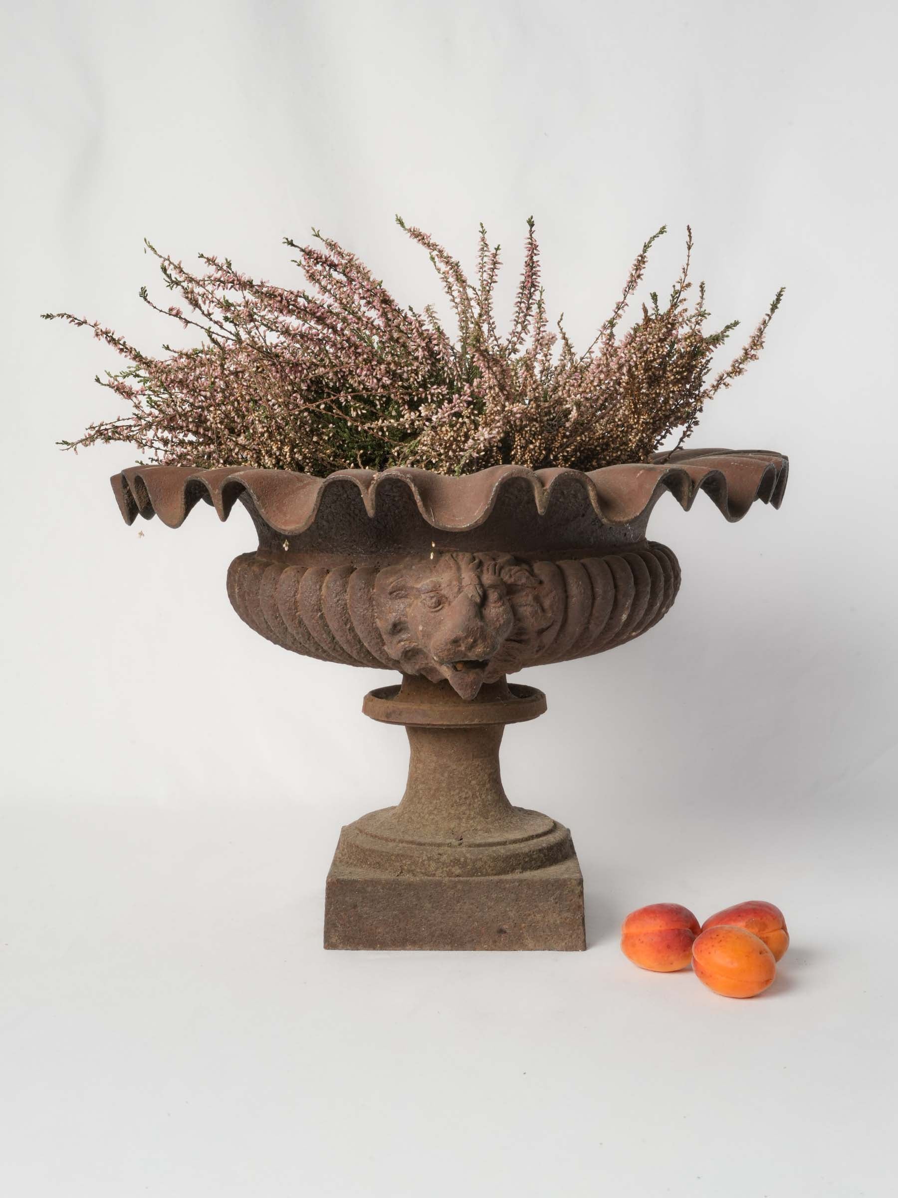 Antique French Cast-Iron Medici Urn w/ Lion Masks & Undulating Rim - 13½"
