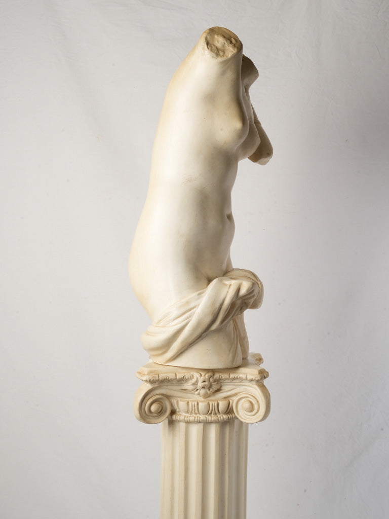 Harmonious scholarly antique Venus bust