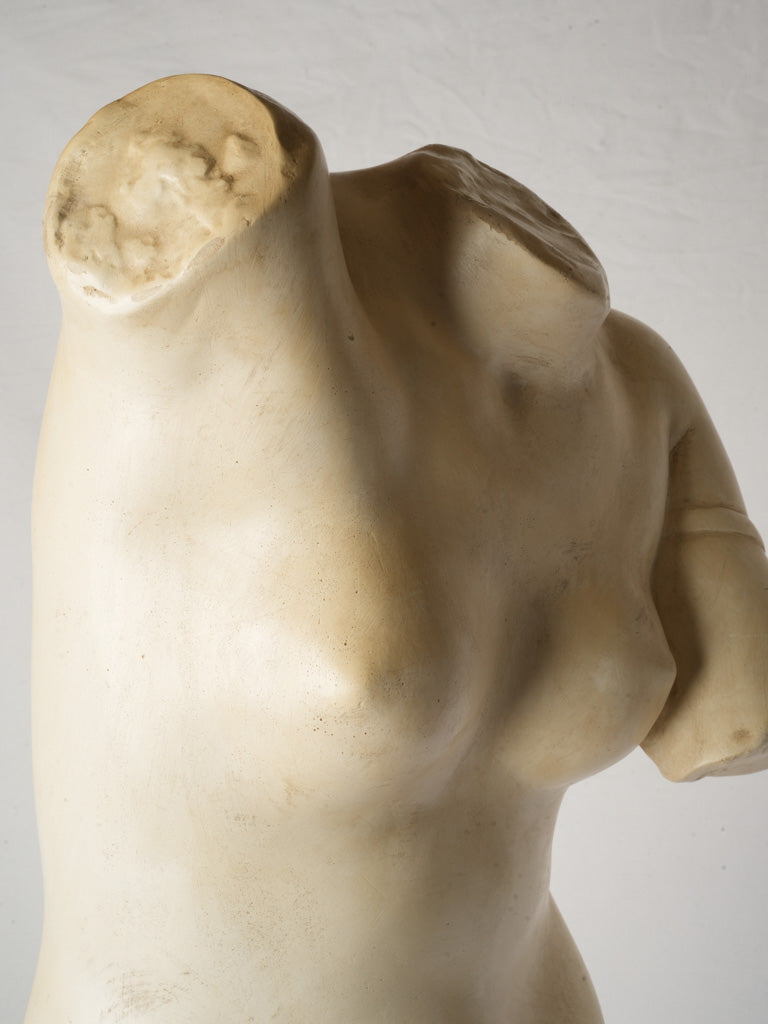 Softly textured vintage Venus torso