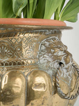 Ornate, vintage, brass lion cachepot  