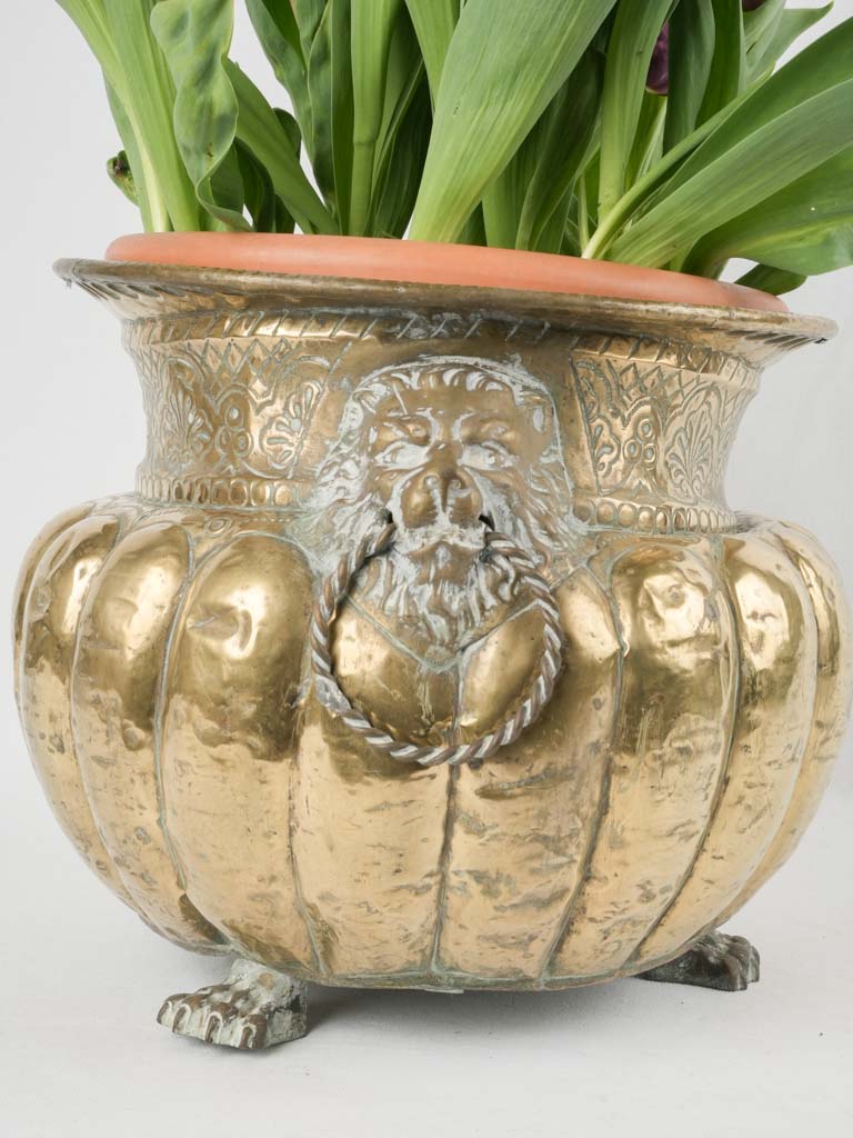 Timeless, lion motif brass jardiniere