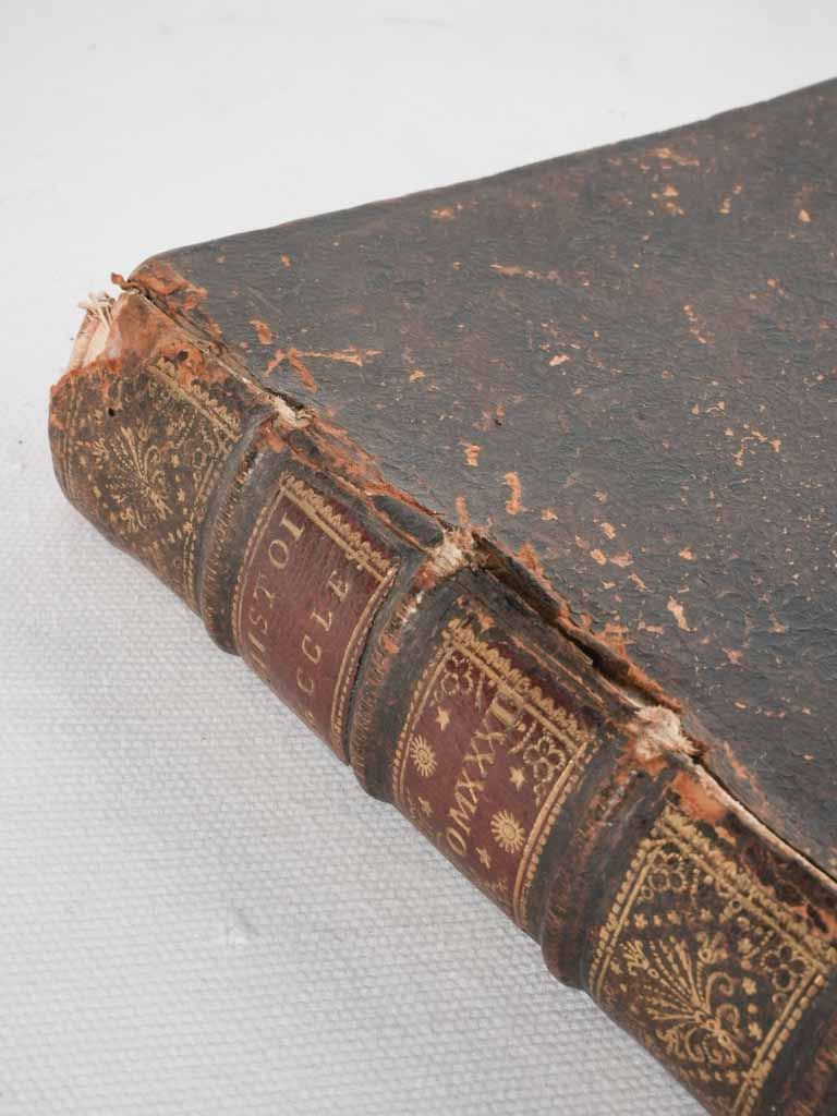 Secret storage book w/ compartment 10¼"
