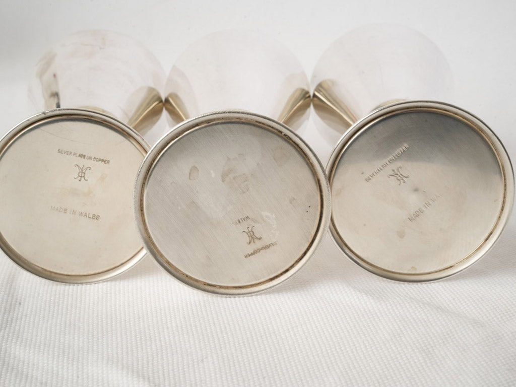 Modern understated elegant goblets