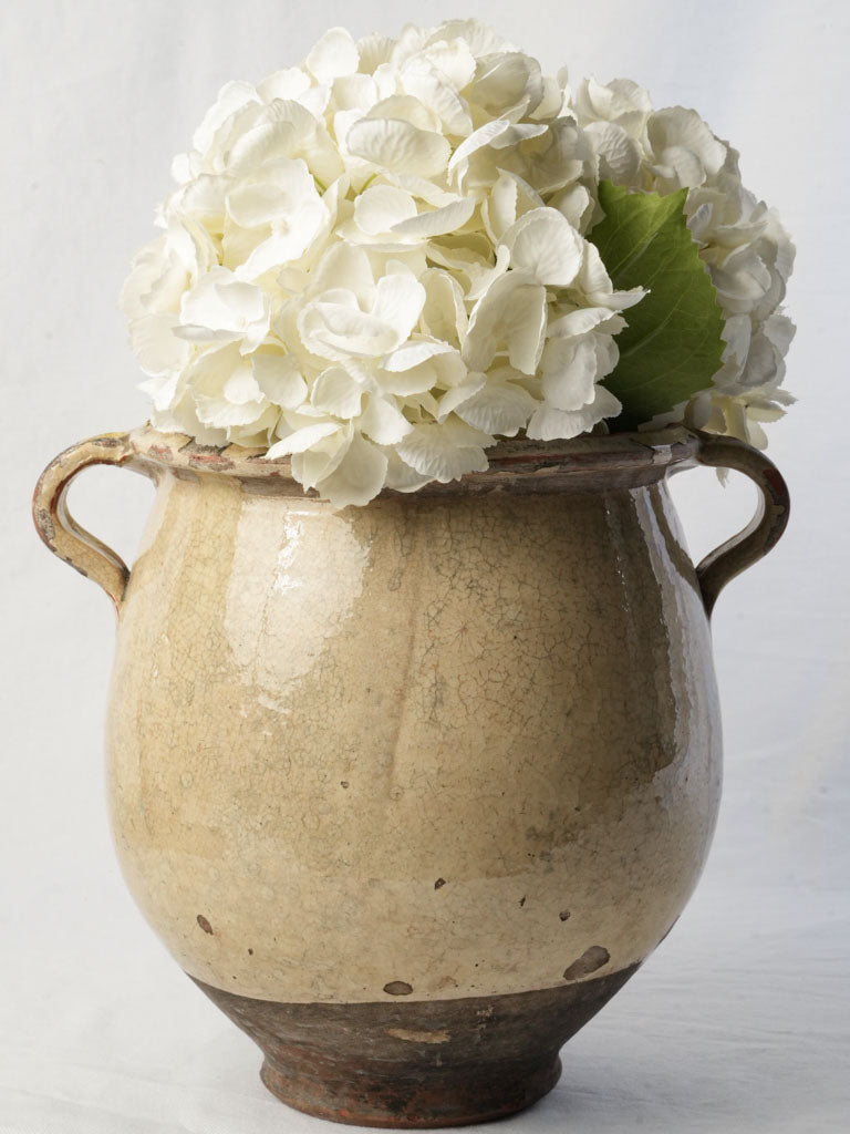 Beautiful Late 19th Century Confit Pot in Soft Butter Yellow Crackled Glaze - 11¾"