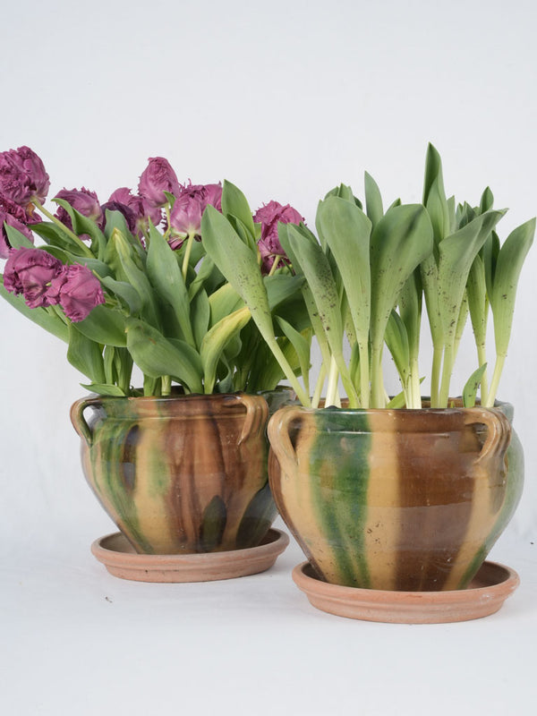 Antique French Anduze flower pots