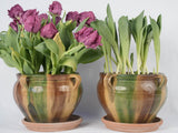 Yellow, green, and brown glazed planters