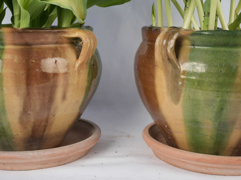 Elegant French pottery flower pots
