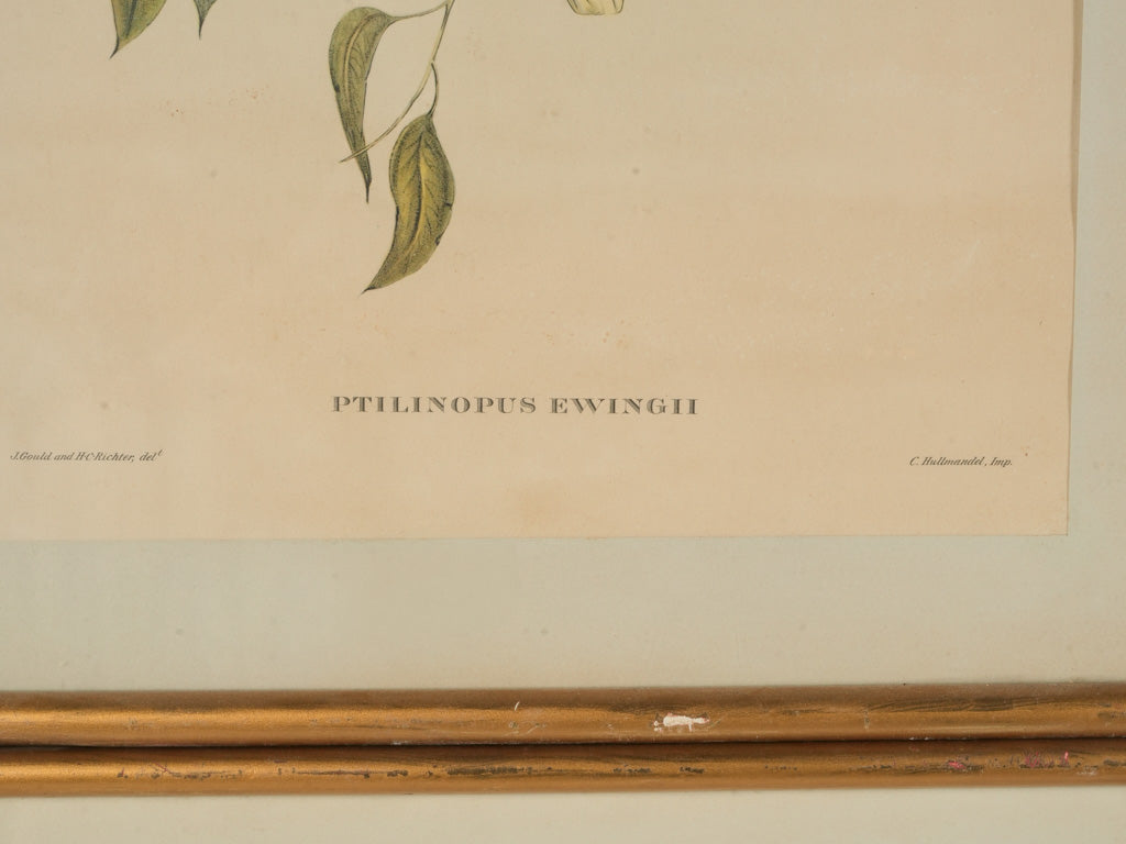 Timeless decorative wall art prints