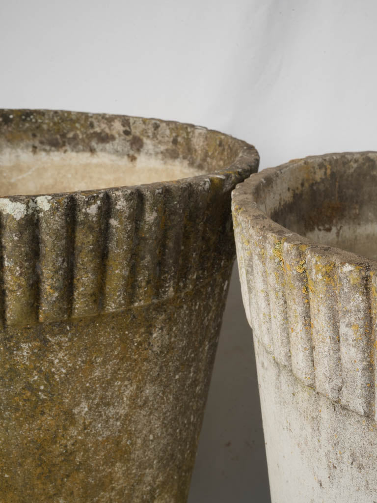 Hardy sculptural Swiss planters