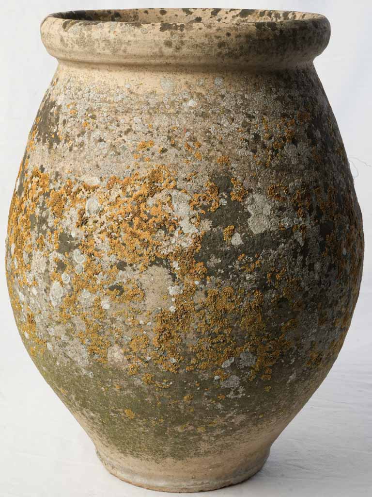 Vintage terracotta Biot jardiniere