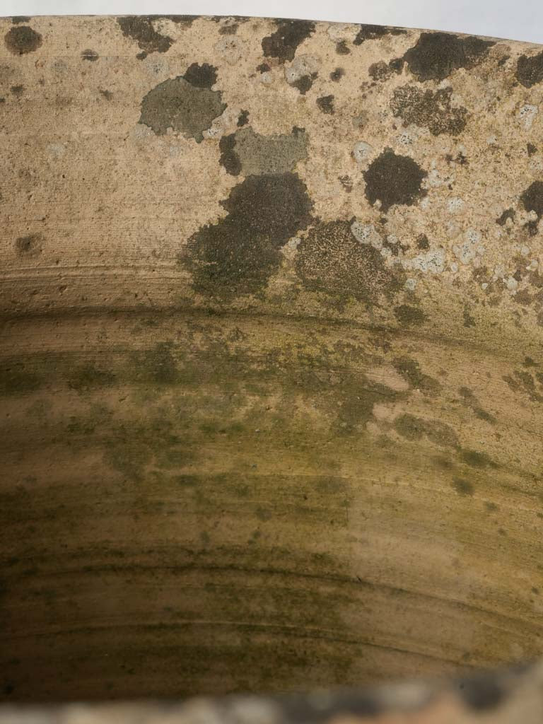 Classic French-style jardiniere