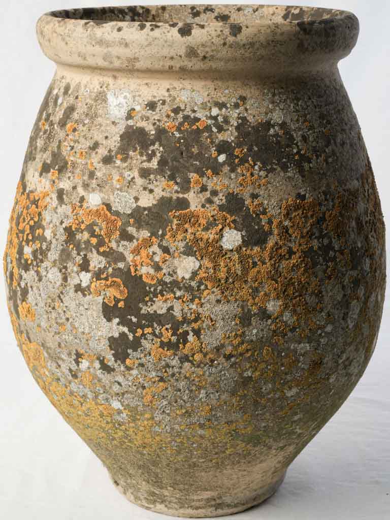 Antique lichen patina plant pot