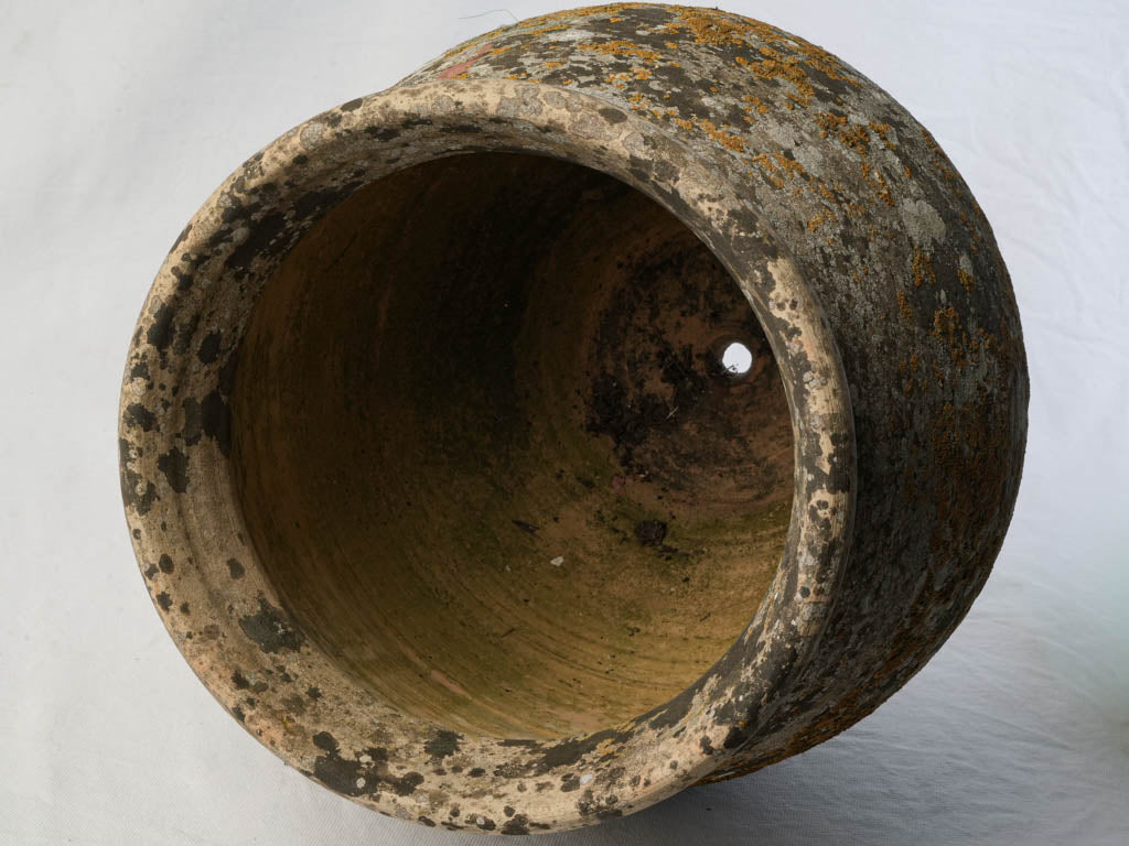 Lichen-covered terracotta pot