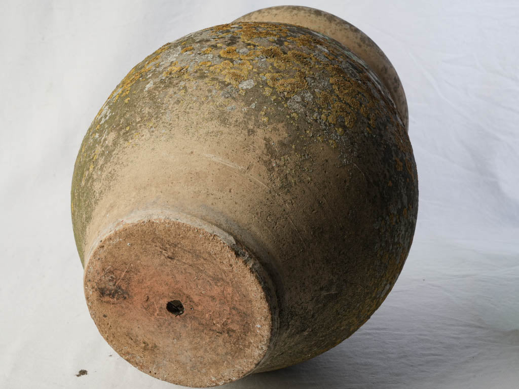 Provenance-rich terracotta planter