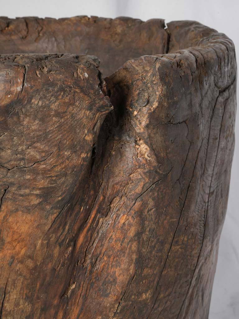 Sculptural Chestnut Folk Art Vessel From Ardèche 19th Century - 26½"