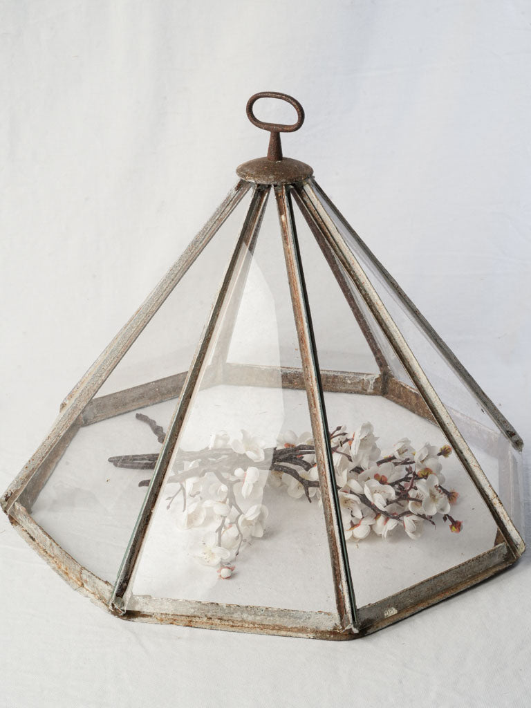 Elegant antique glass garden cloche  