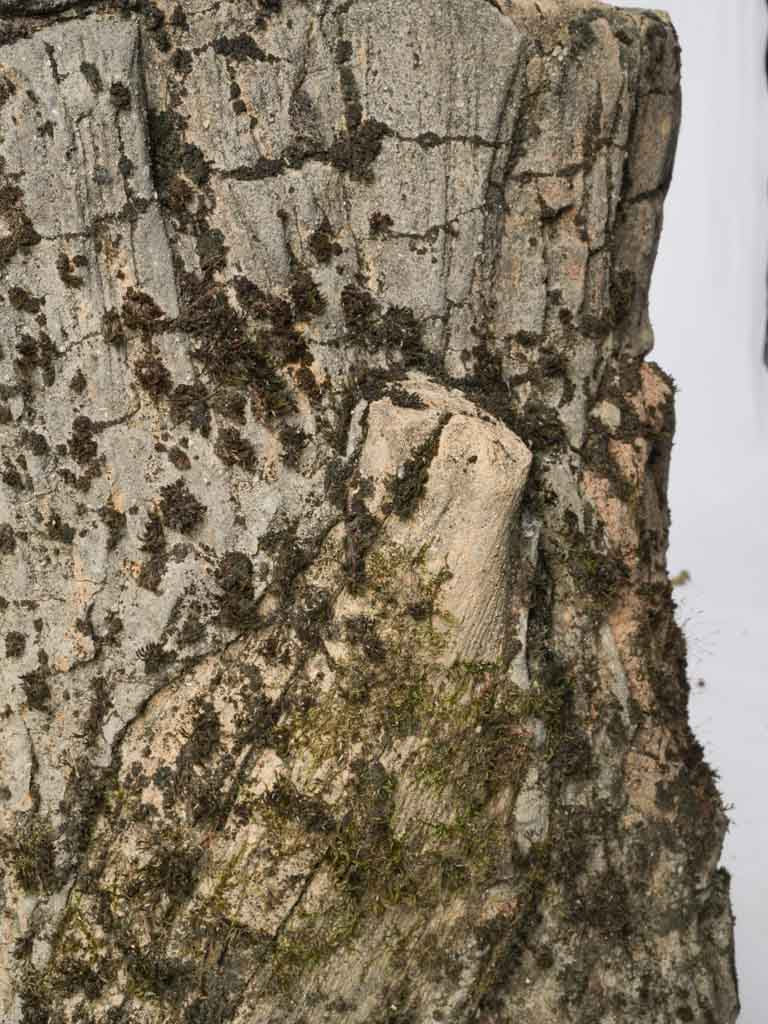 Natural bark mimicry garden accent  