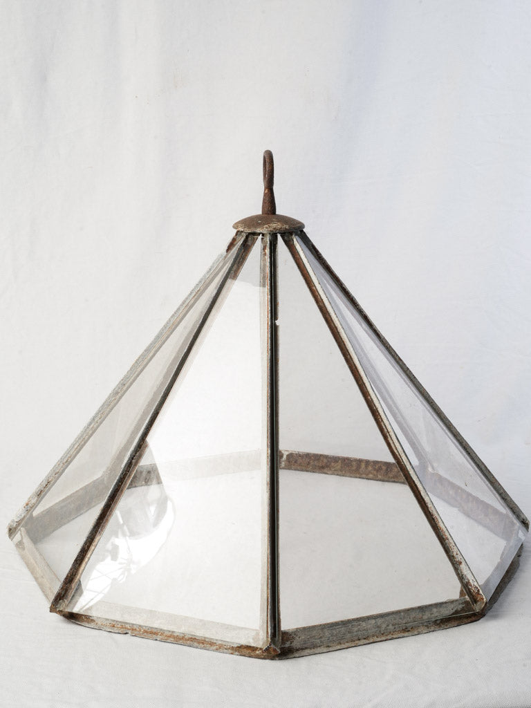 Graceful rusty iron garden cloche  