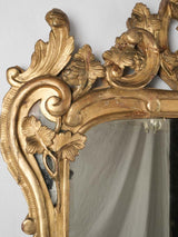 Vintage ornate French giltwood parclose mirror
