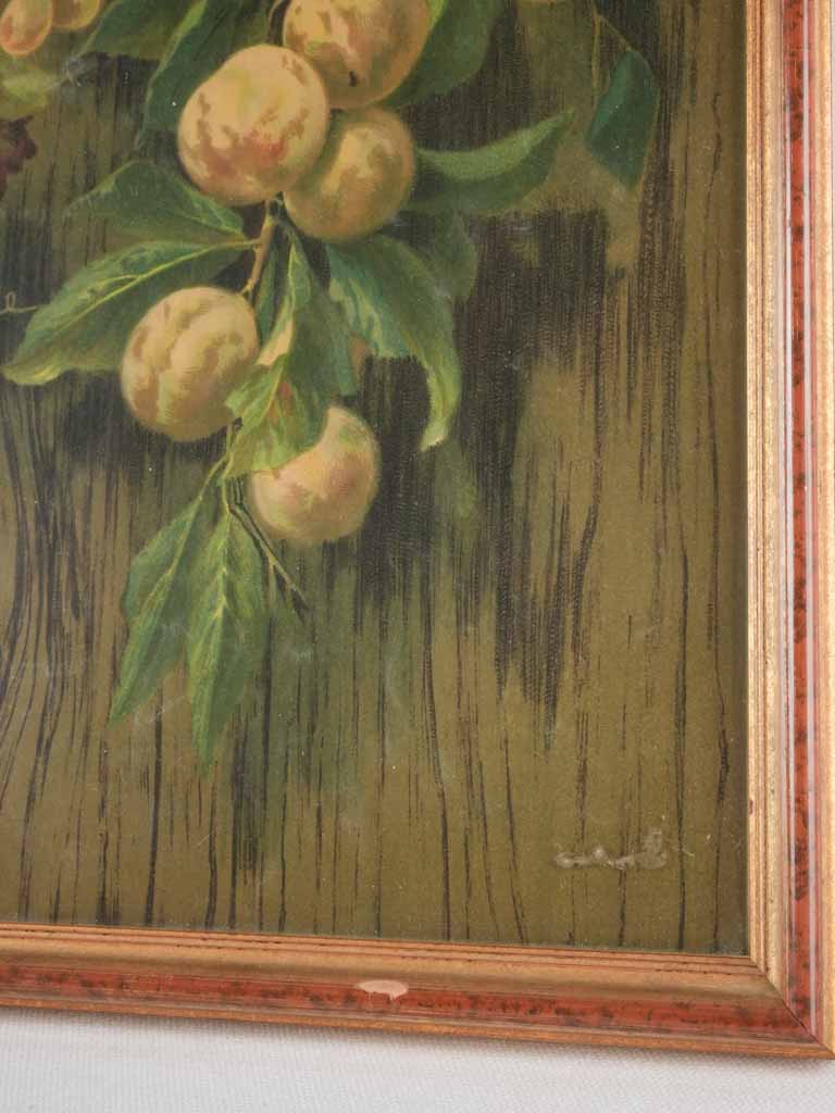 Pair of Still life Chromolithographs - hanging fruit bouquets 25¼" x 13½"