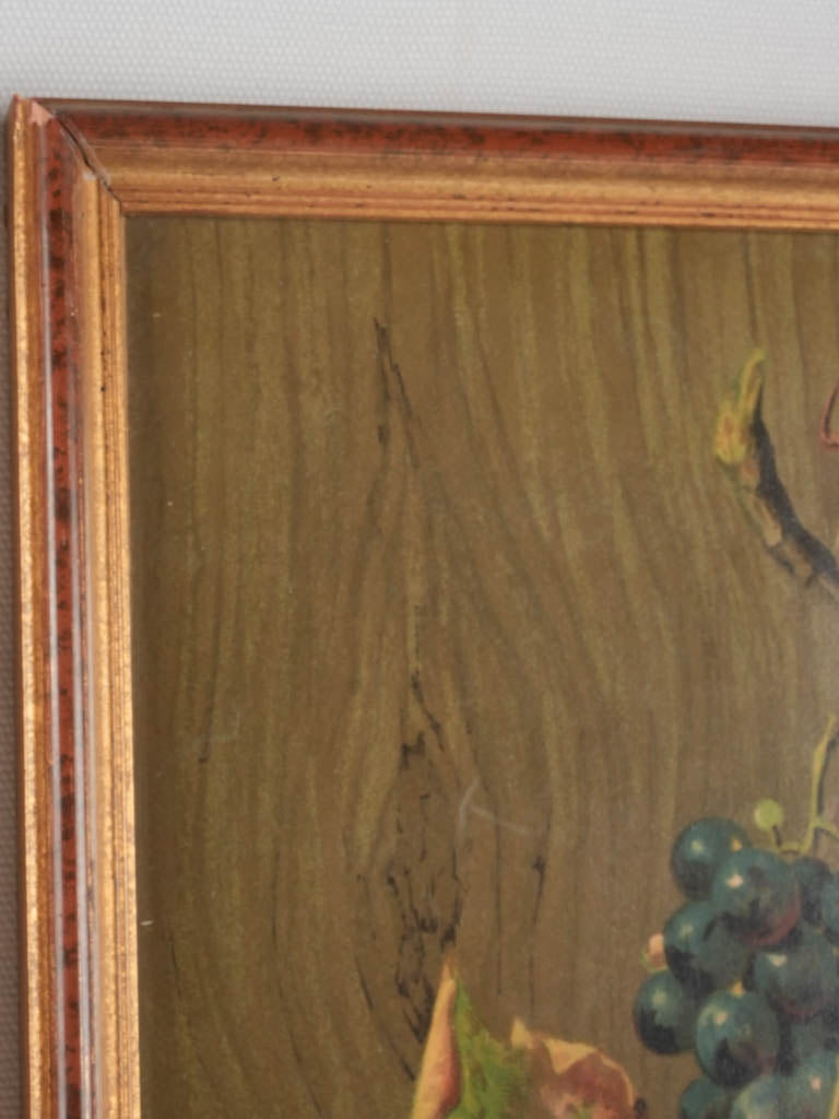 Pair of Still life Chromolithographs - hanging fruit bouquets 25¼" x 13½"