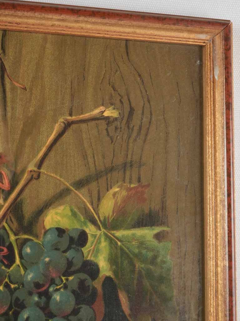 Pair of Still life Chromolithographs - hanging fruit bouquets 25¼" x 13½"
