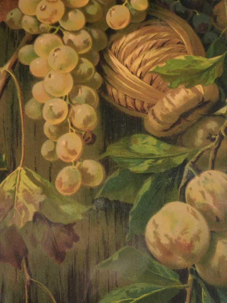 Pair of Still life Chromolithographs - hanging fruit bouquets 25¼" x 13½"