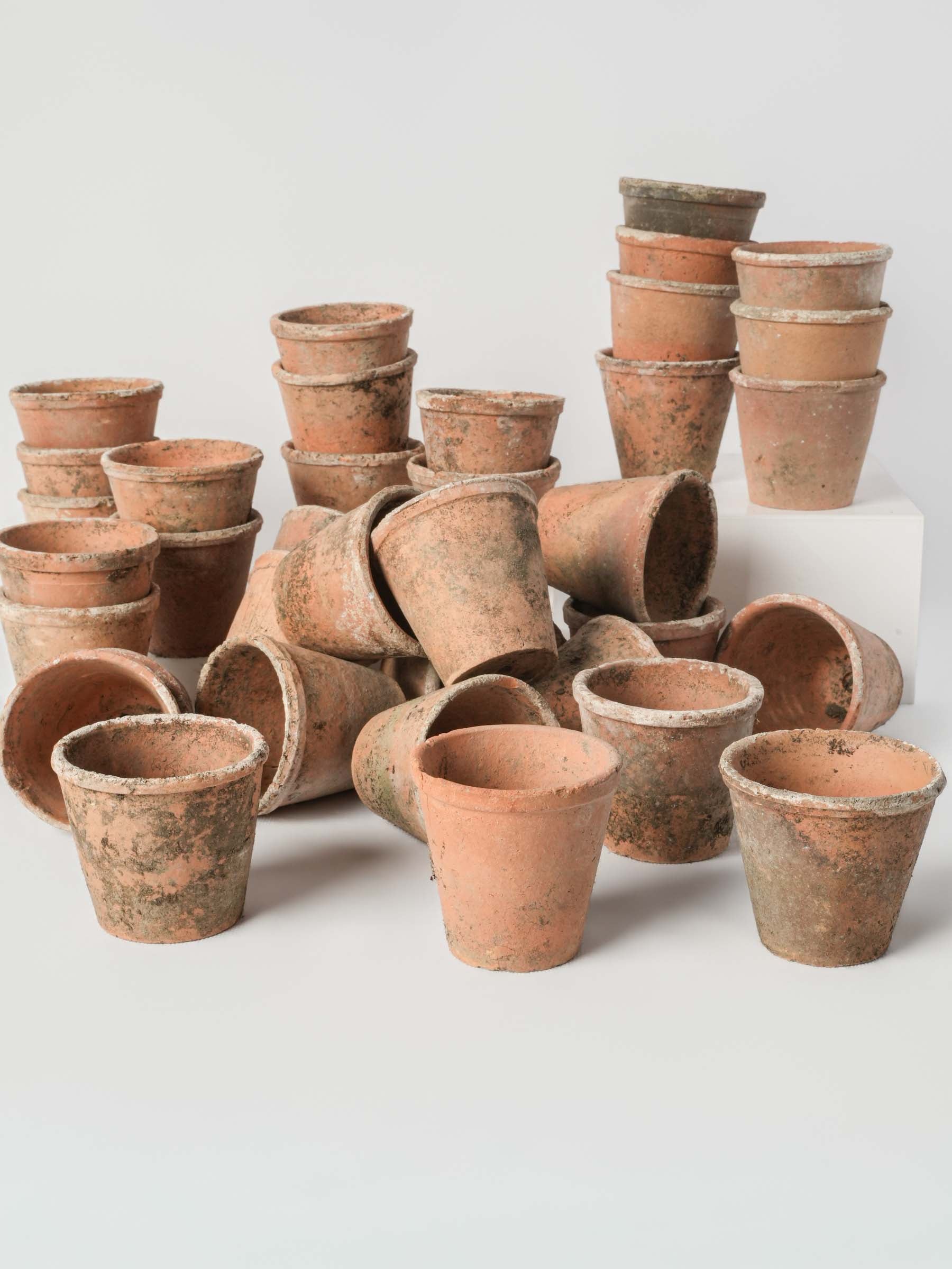 Set of 10 Petite Vintage French Terracotta Seedling Pots - 2¾" x 3¼"