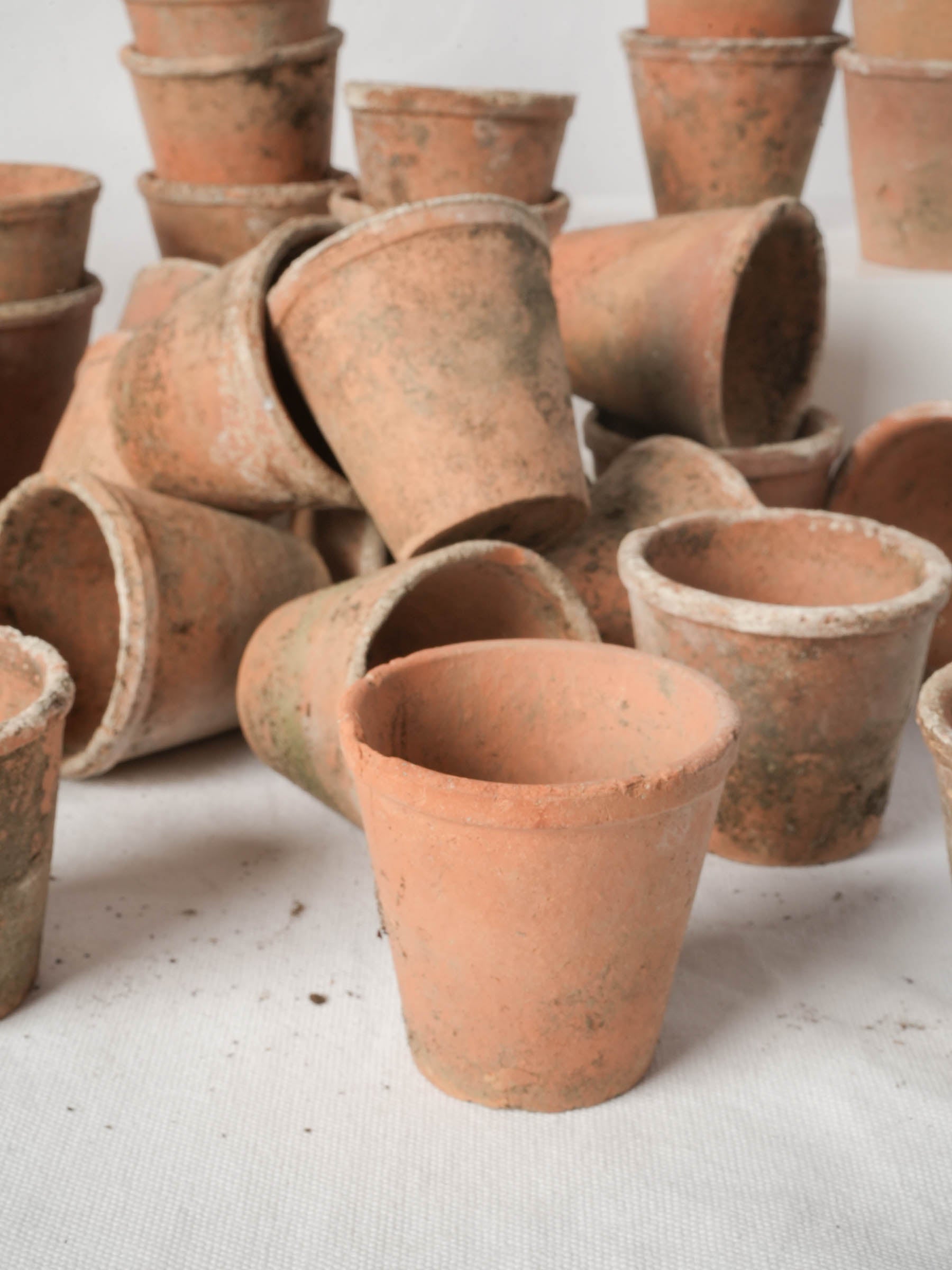 Set of 10 Petite Vintage French Terracotta Seedling Pots - 2¾" x 3¼"